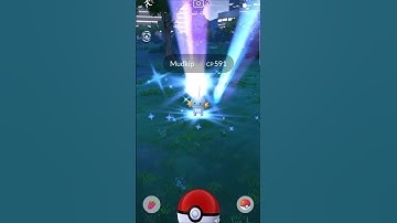 look what we found.. 😍😍 #youtube #shorts #pokemon #pokemongo #mudkip #starter