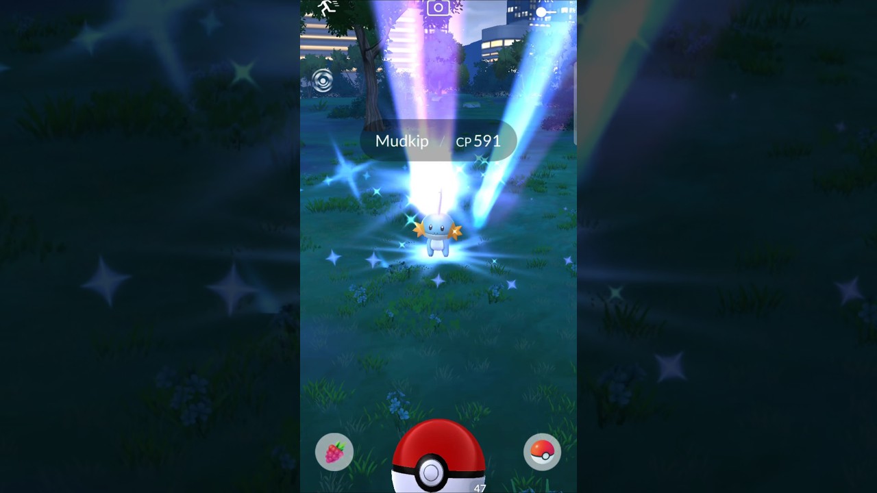 look what we found.. 😍😍 