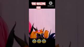 The Rolling EGG 🥸🥸🥸