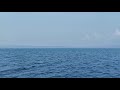 Курейское море