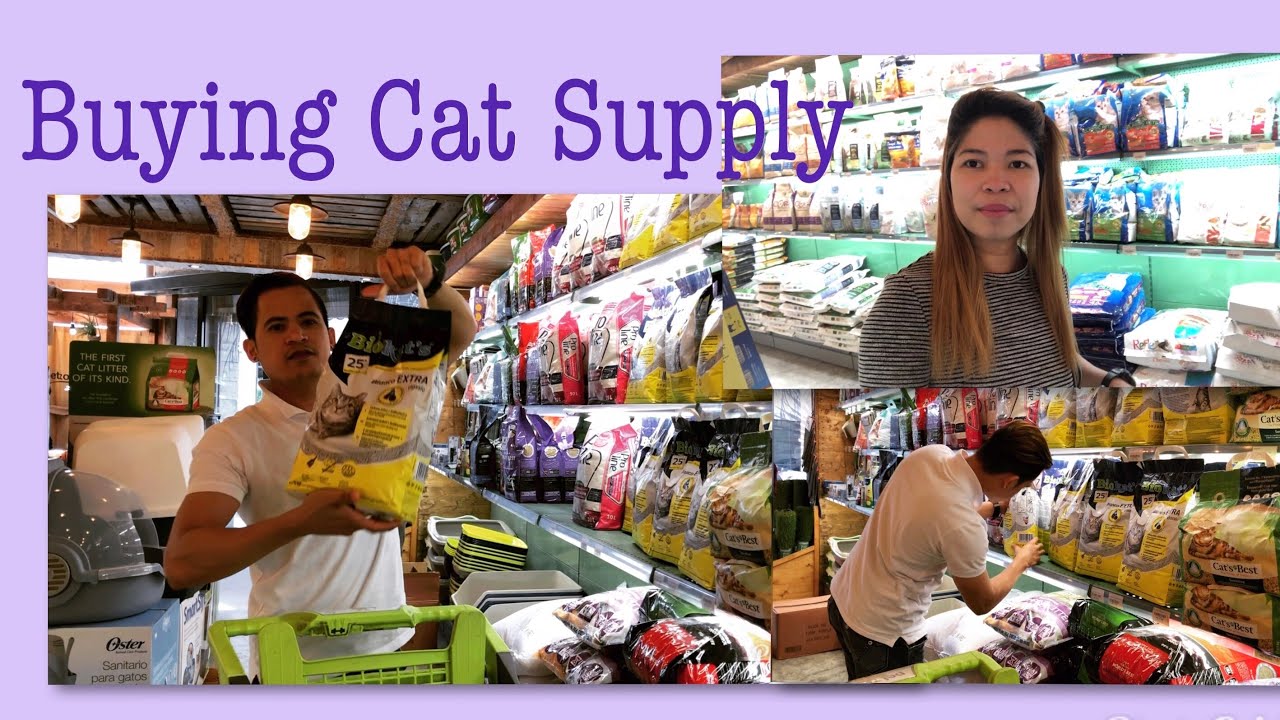 SHOPPING FOR CAT SUPPLIES (TAGALOG) Jen VLOG YouTube