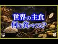 【ゆっくり解説】食文化と地理の関係…世界の主食、何を食べている?を解説/米・小麦・イモ…人類が選んだ“最適解”…なぜ国によって主食が違うのか?