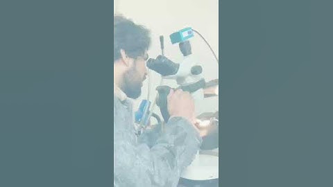 Gemology Studying Ruby Inclusions-Gemologist