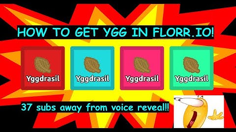 Florr.io - How to get ygg (noob friendly) (REUPLOAD TEST)