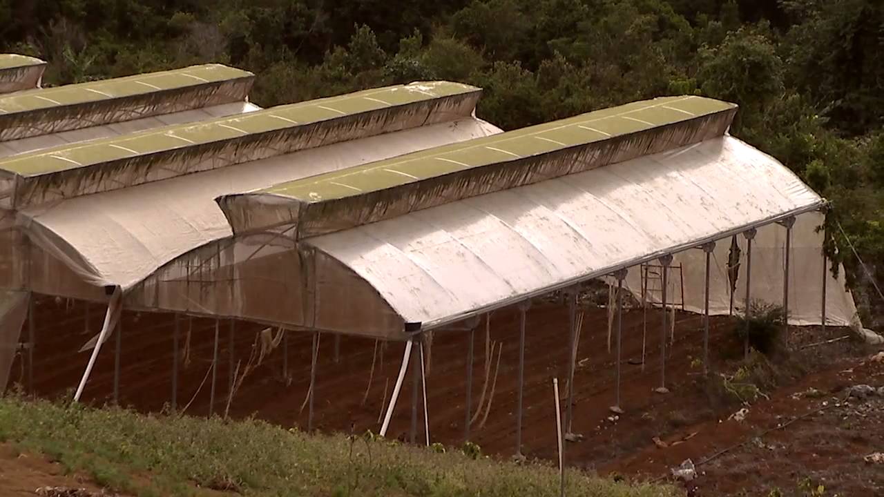 Wealth Magazine's Business Access: Season 9 - Episode 7