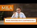 PART 2: Why Do Businesses Buy Other Businesses? (M&A Motivations)