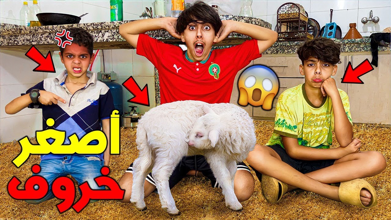و أخيرا إشتريت أصغر خروف بالعالم لخوتي صغار 🐏😱 صدماتني ردة فعلهم 😭💔