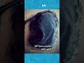 كائنات آكلة للحوم البشر تهاجم المئات في شواطئ كاليفورنيا..  كأنه مشهد من فيلم رعب #short