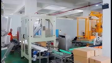 Case erecting, filling and sealing system + palletizing system