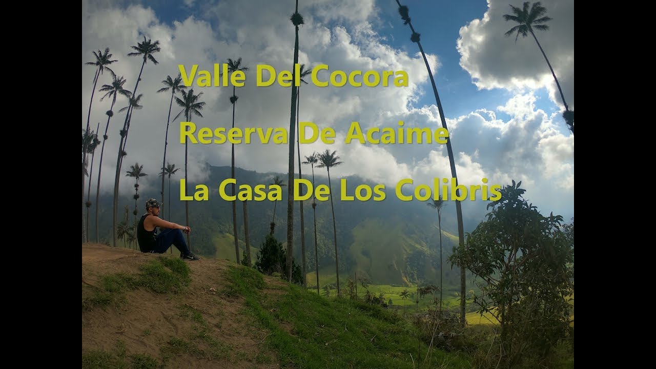 Valle Del Cocora - Reserva De Acaime - Casa De Los Colibris #2 - Alejo ...