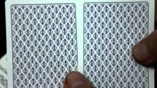 White Lions Rainbow Deck Review