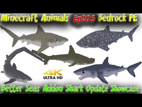 【合馬公式アカウント3】TADGEAR Shark-Skin Better Seas Addon Shark Update Showcase New Sharks Minecraft