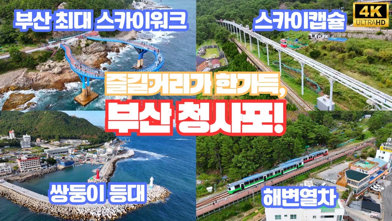 슬램덩크의 한장면을 연상시키는 청사포, 이렇게나 볼게 많아?!