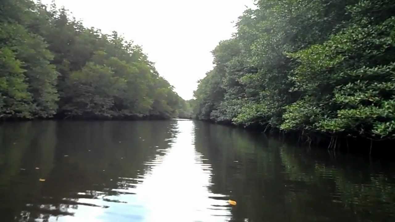 Mangrove Tour NUsa Lembongan - YouTube
