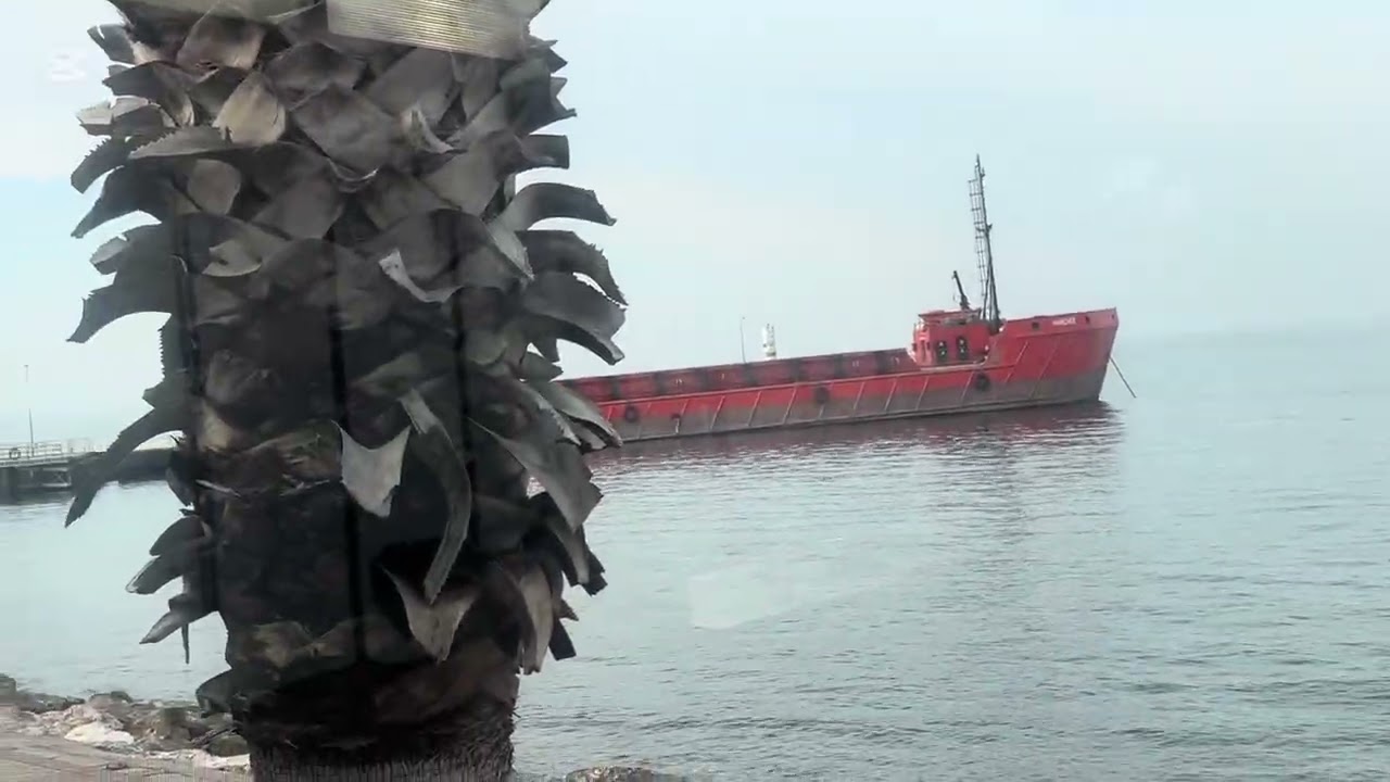 Güzelbahçe Sahili ve Karabataklar…