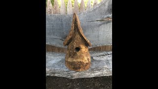 Fun Chainsaw carved birdhouse!!! Watch me carve a cool birdhouse with a chainsaw from and old pine log I found!!! check out Instagram!!!