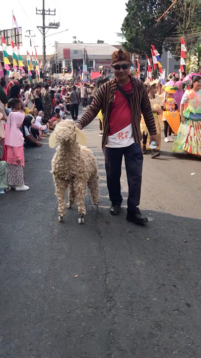 Kambingnya lucu banget seperti asli #karnaval #agustus