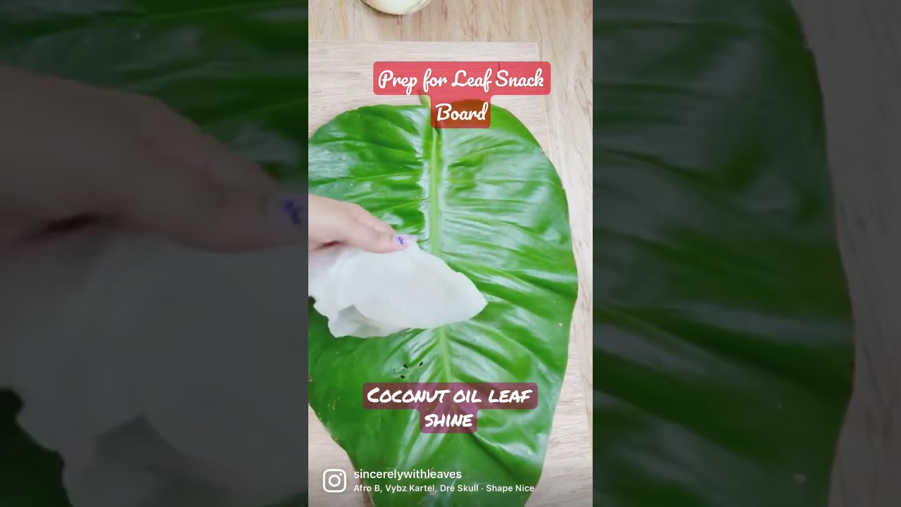 I used coconut oil to shine leaves for a snack board 🤩 