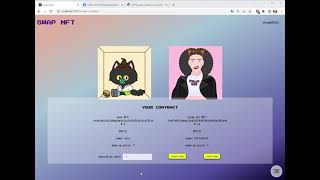 Nft Swaper Demo 可開啟字幕
