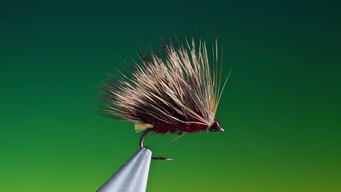 Tying a Hot Spot sedgehog with Barry Ord Clarke