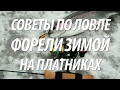 ЛОВЛЯ ФОРЕЛИ ЗИМОЙ НА ПЛАТНИКАХ - СОВЕТЫ БЫВАЛЫХ РЫБАКОВ