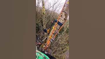 How I rig limbs down when I am working by myself.
