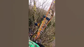 How I Rig Limbs Down When I Am Working By Myself 