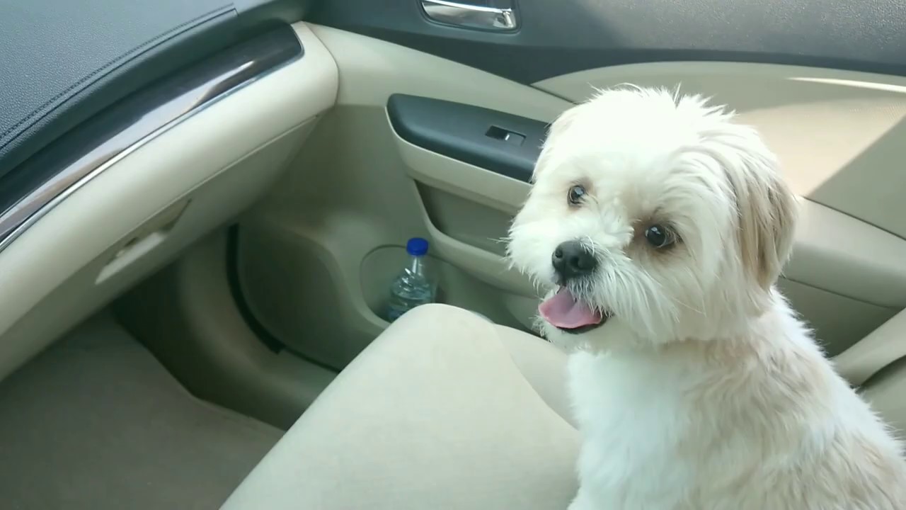 Honda Crv Traction Control