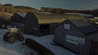 Welcome to Argaty Red Kites