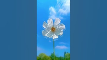 #سوره_اسراء، آیات ۸۳ و ۸۴، گوینده #بهروز_رضوی ،مترجم #مسعود_ریاعی #ترجمه_فارسی_قرآن