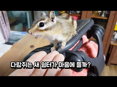 다람쥐는 새 쉼터가 마음에 들까?