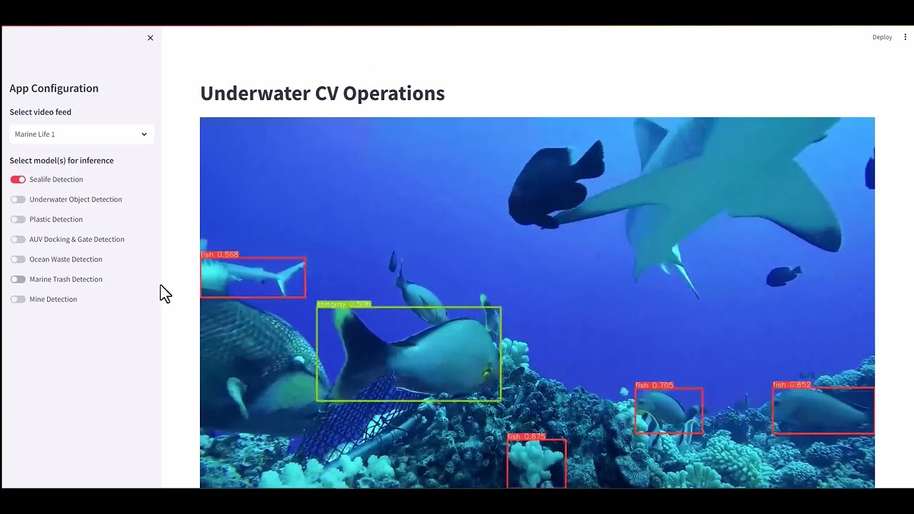 AI at the Edge: Using Computer Vision to Detect Underwater Objects