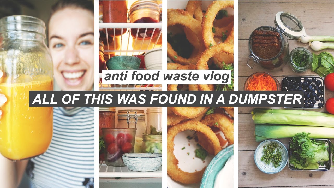 I WENT DUMPSTER DIVING EVERY DAY FOR A WEEK // rescuing food + what I made with it (pt II)