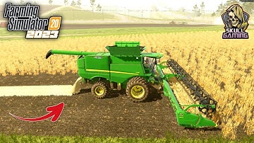 Wheat Harvesting in Farming Simulator 20, Fs20 Multiplayer Gameplay | Timelapse #skullgaming