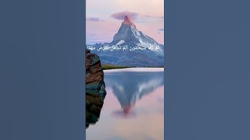 سورة النبأ بصوت الشيخ القارئ صلاح بو خاطر