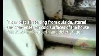 Humidity Moisture and Mold
