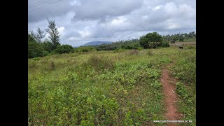 Agricultural FarmLand for sale in Kwale Mwambalazi near Bwiti Chigombero 2 5 acres @ 750k