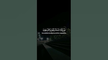 سورة مريم ] القارئ عبد الرحمن مسعد #quran #عبدالرحمن_مسعد