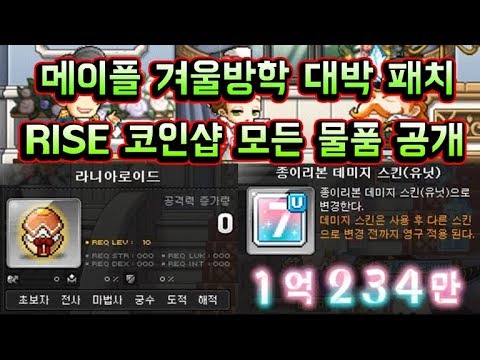<strong>RISE</strong> 코인샵 모든 물품 인게임 <strong>공개</strong> (라니아로이드,종이리본 데미지스킨 유닛 등)