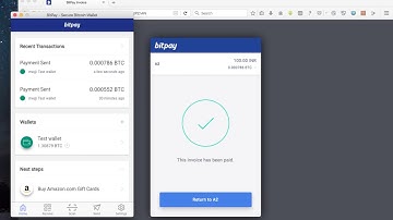 Ruby on Rails and BitPay integration (Bitcoin payments)
