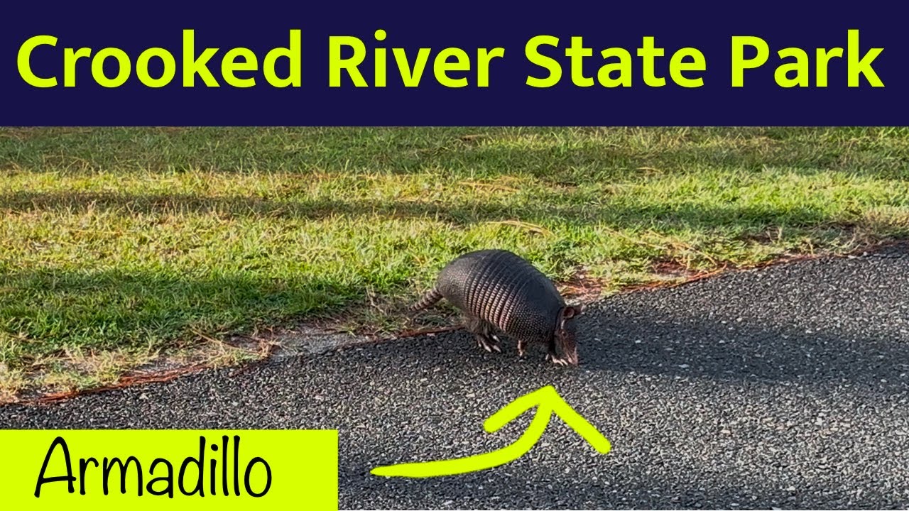 Crooked River Adventure: Bikes, Owl Pellets, Squids & St. Marys.   Georgia State Park