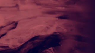 Last Emotion - Xoxad Ft. 7Pnt 0.2