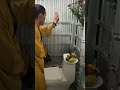 Nhà hàng xóm cúng khởi công #xaydung #tintuc #funny #shorts