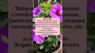 Frases de amizade#amigos # #amor #gratidão #frases #mensagem #deus #felicidade #flores