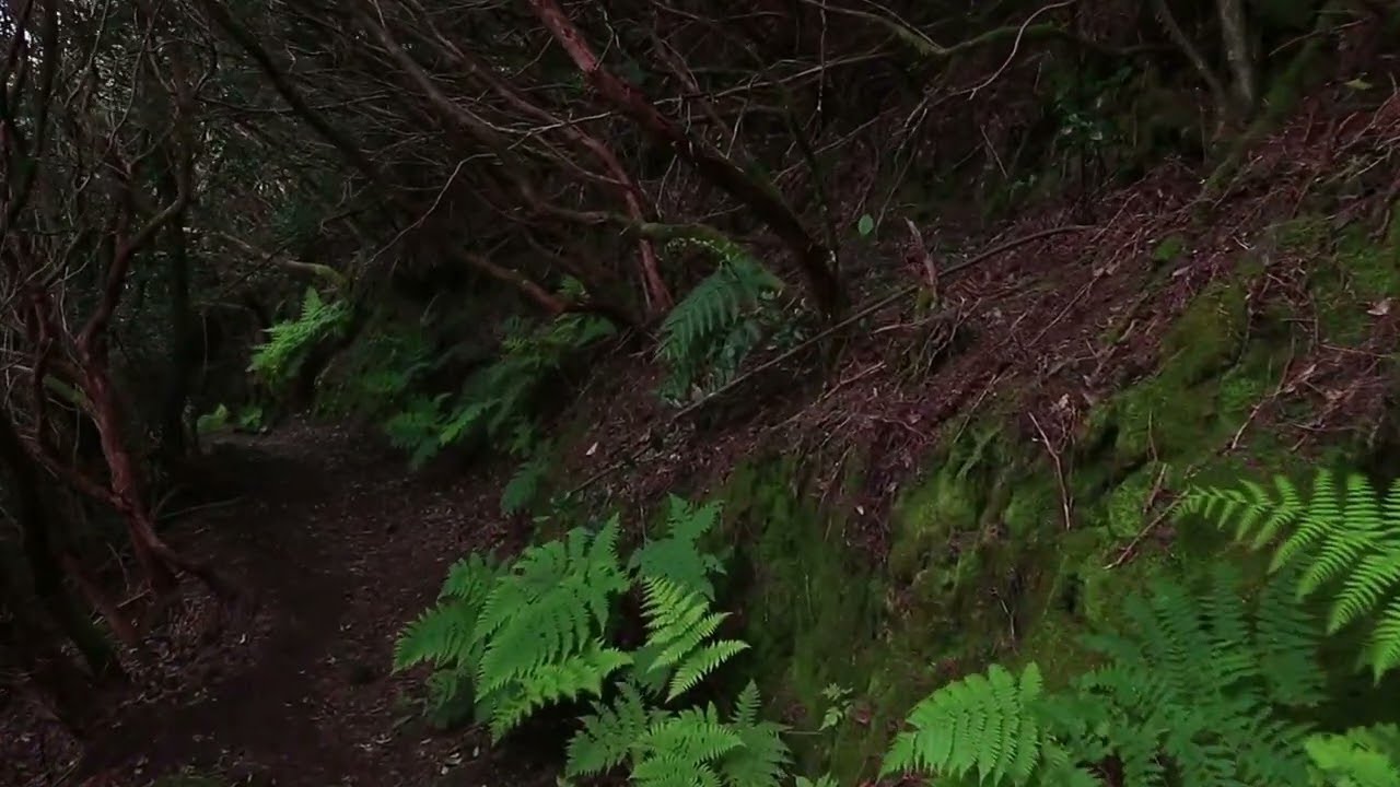 HIP hop and Rap Music 1. happy mood music THANKS FOR WATCHING MY CHANNEL