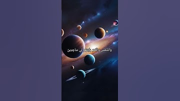 تلاوة هادئة للقرآن الكريم #قرآن #تلاوة #fyp
