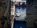 China’s RC Aircraft Carrier Looks TOO Real