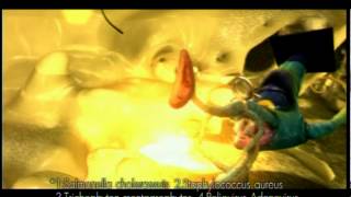 Download Lagu promax MP3