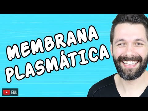 Vídeo: Por que é chamado de membrana plasmática?