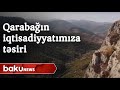 Qarabağın azad olunmasının Azərbaycan iqtisadiyyatına təsiri - Baku TV